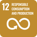 global-goals-12